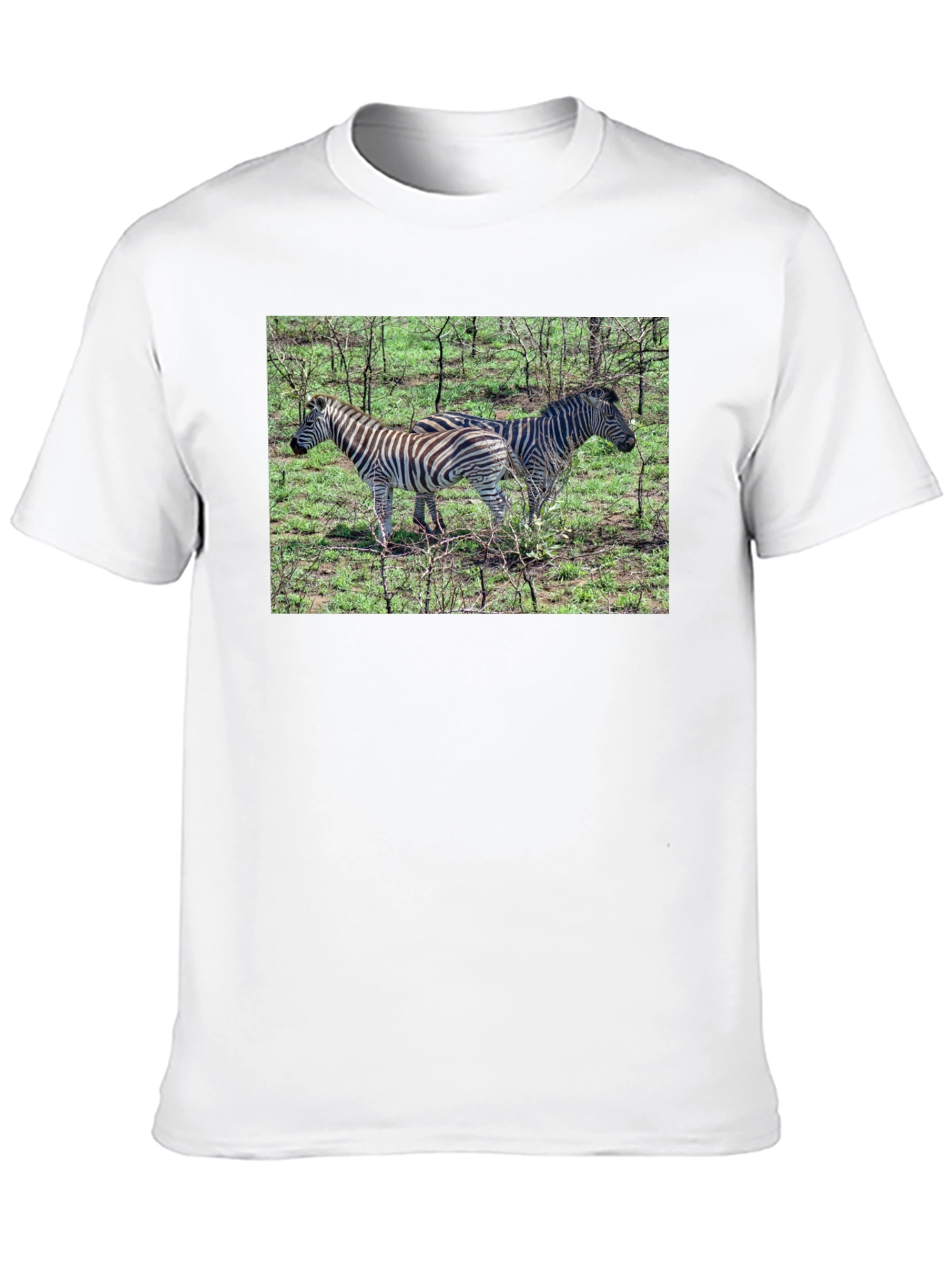 Zebra Print Crew Neck T-Shirt