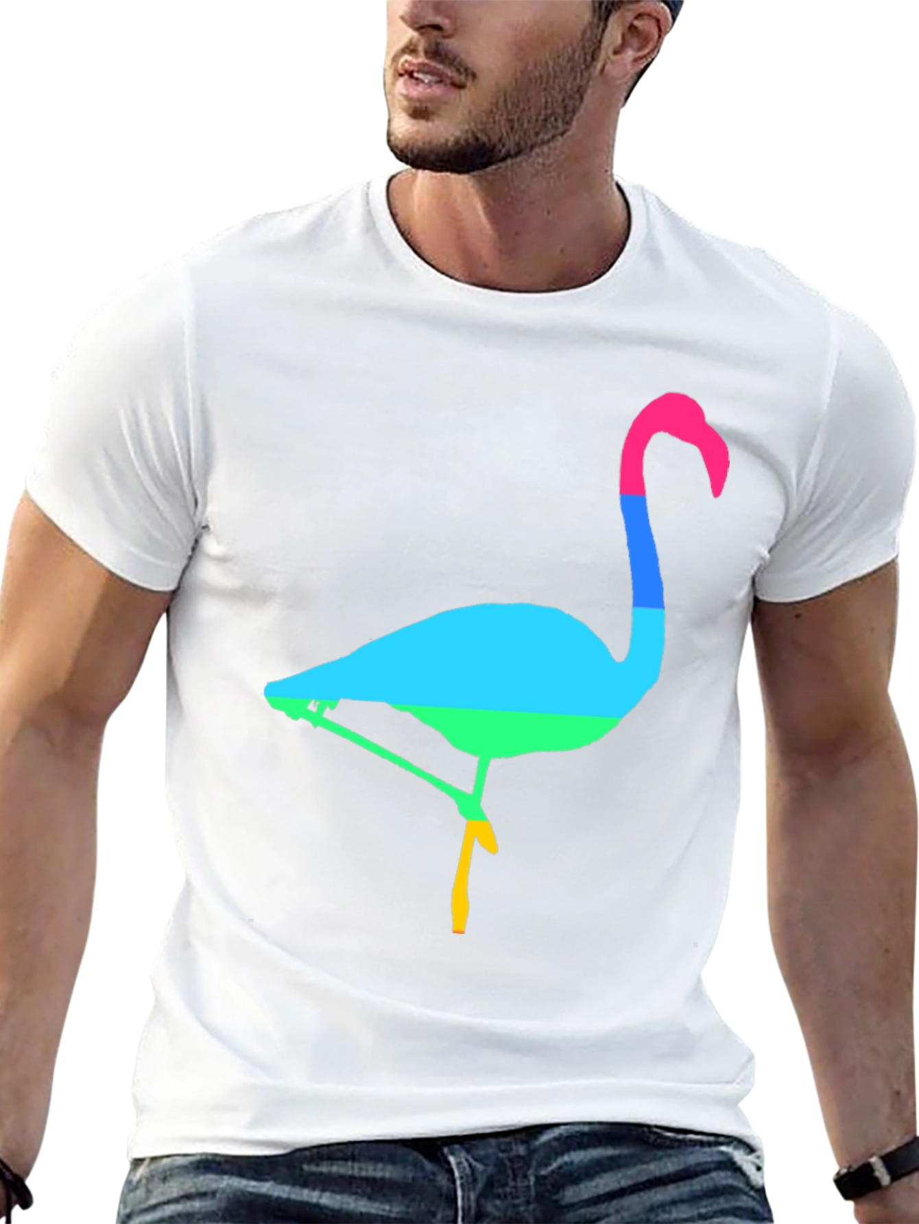 Rainbow Flamingo Graphic Tee - Mens Black T-Shirt