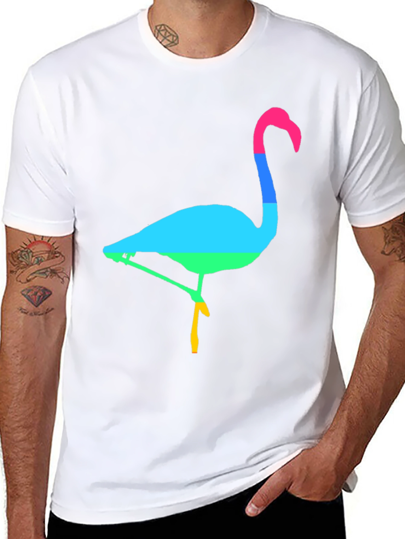 Rainbow Flamingo Graphic Tee - Mens Black T-Shirt