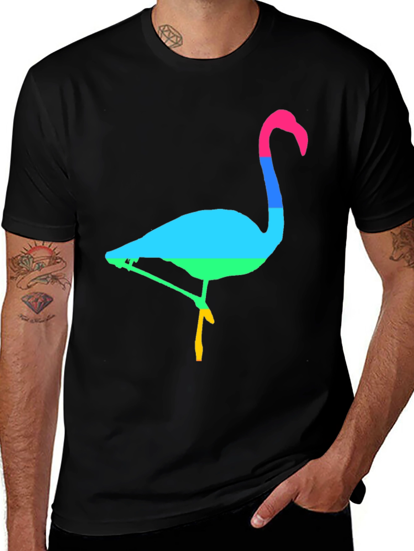 Rainbow Flamingo Graphic Tee - Mens Black T-Shirt