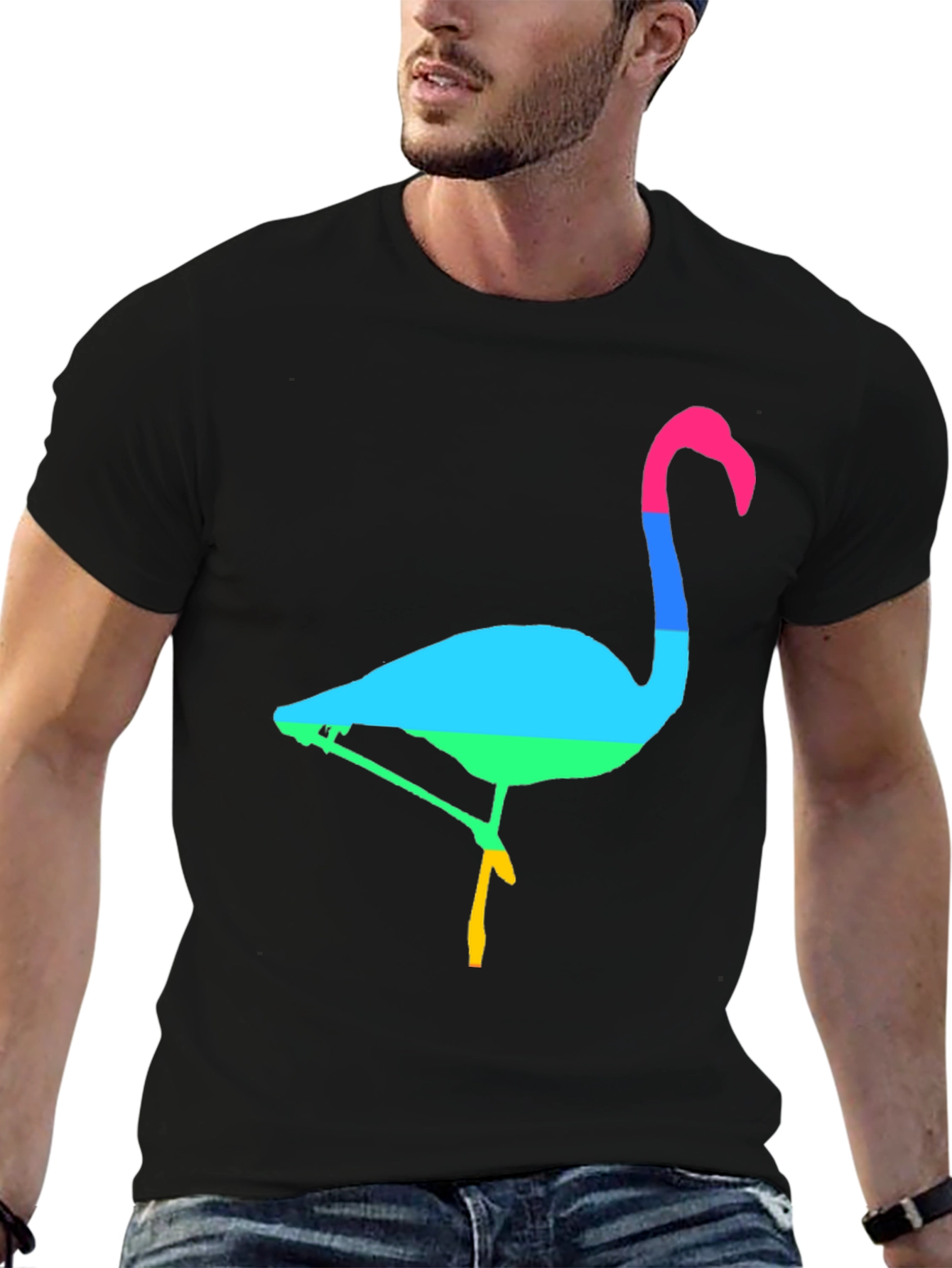 Rainbow Flamingo Graphic Tee - Mens Black T-Shirt