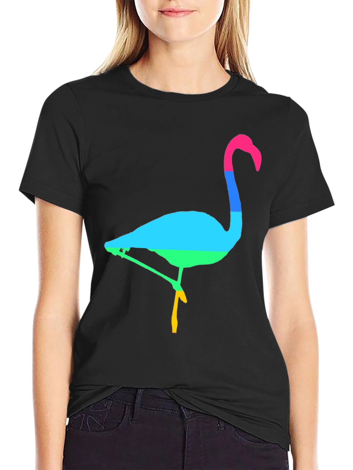 Rainbow Flamingo Graphic Tee - Mens Black T-Shirt