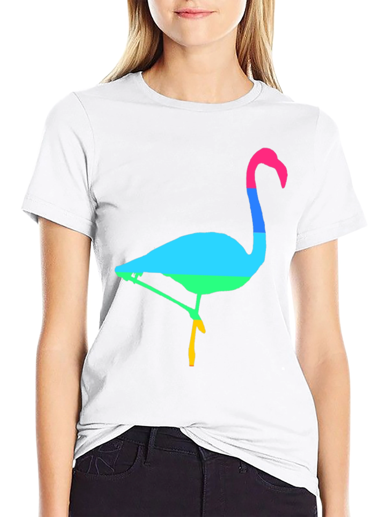 Rainbow Flamingo Graphic Tee - Mens Black T-Shirt