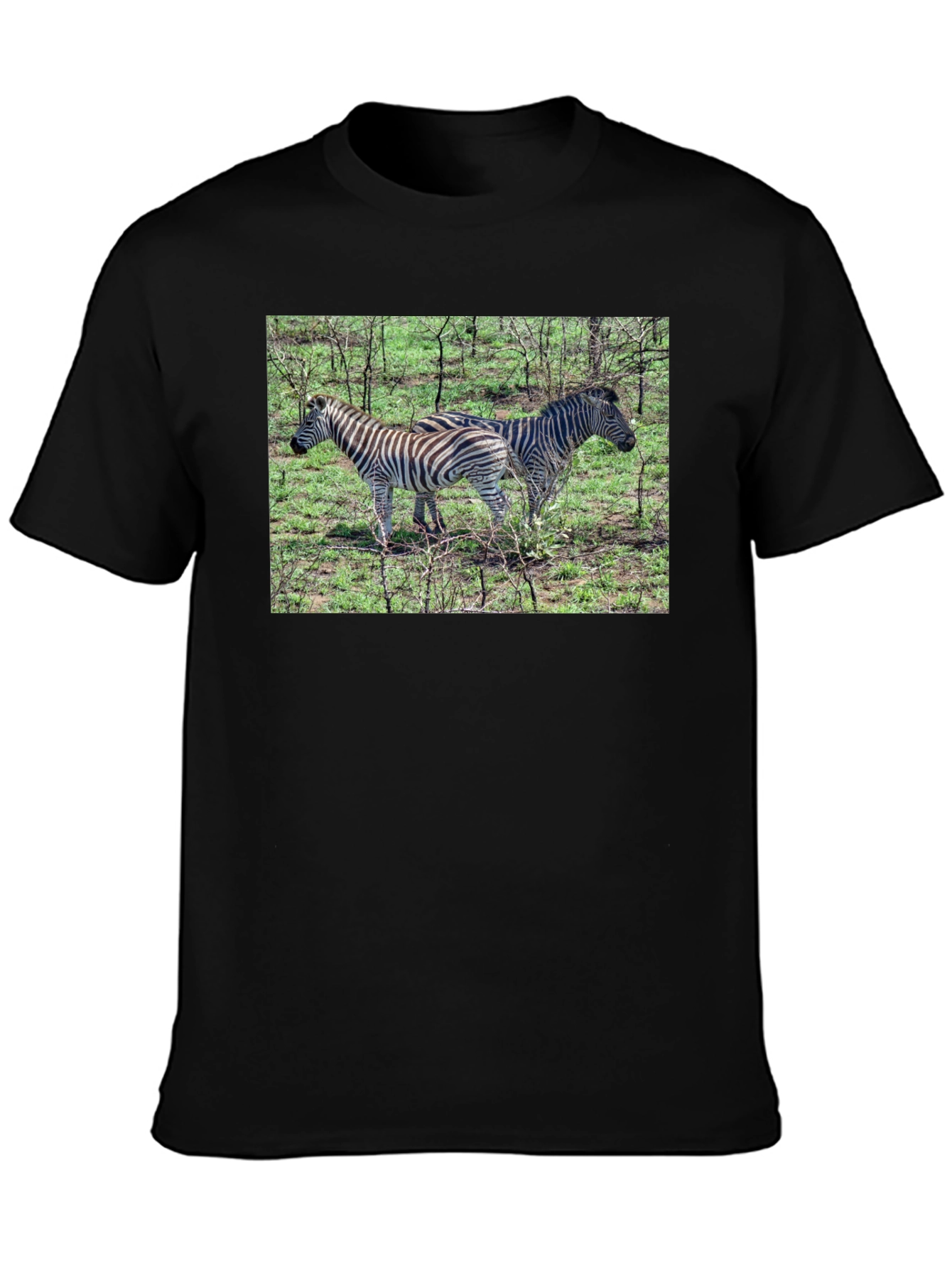 Zebra Print Crew Neck T-Shirt