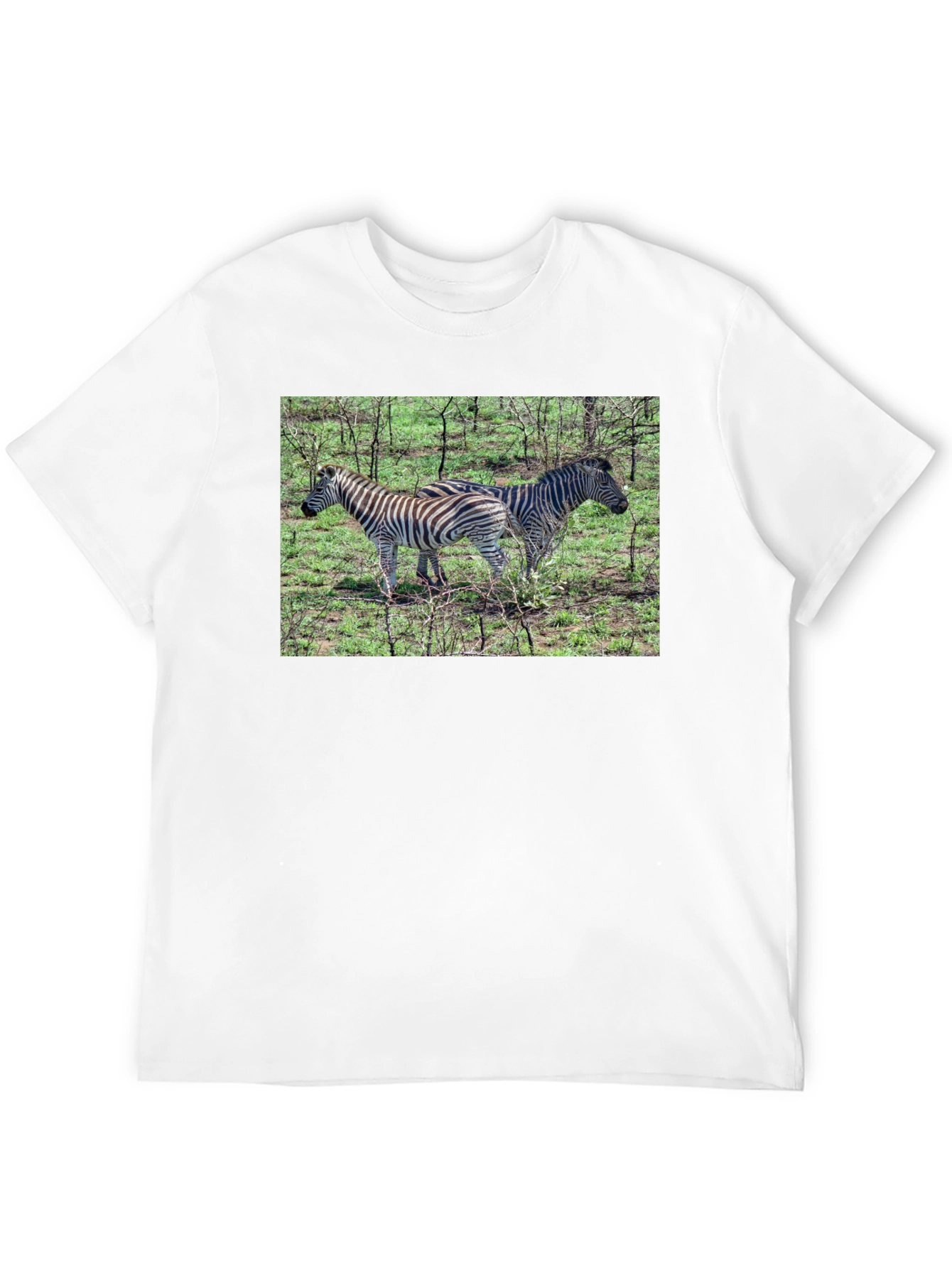 Zebra Print Crew Neck T-Shirt