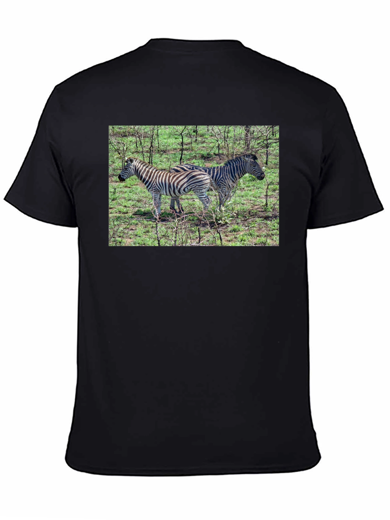 Zebra Print Crew Neck T-Shirt