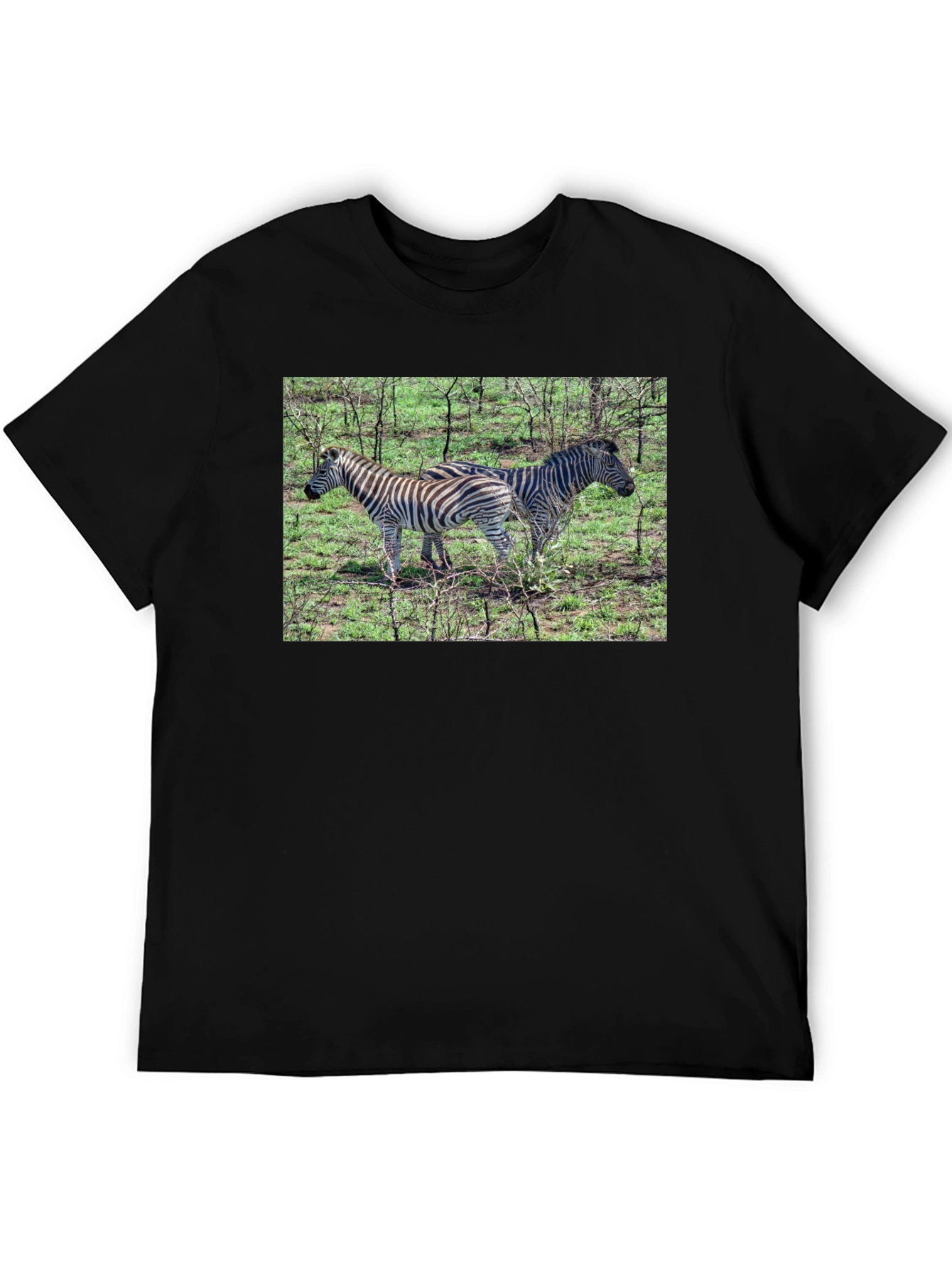 Zebra Print Crew Neck T-Shirt